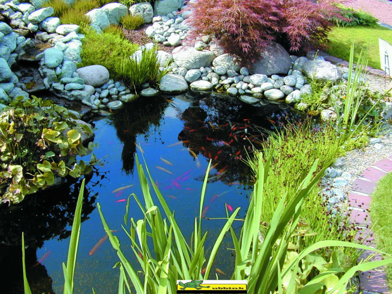 Bâche pour bassin jardin pvc AQUALINER 2,00m x 3,00m - ép: 0,5mm - FIN DE SERIE - Zoom3